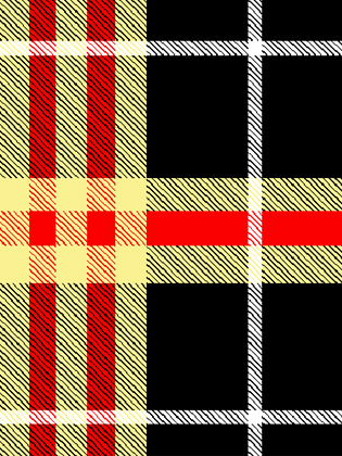 Plaid Cloth
